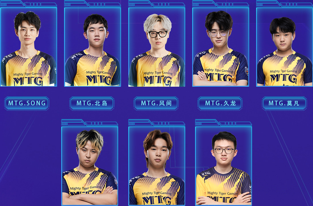 单片假